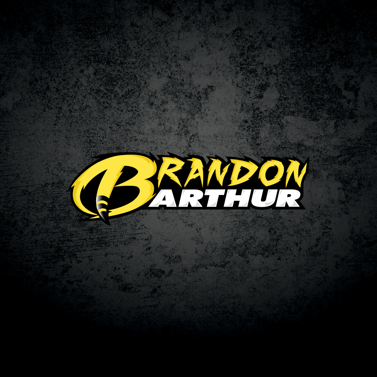 Brandon Arthur, Identity, Bink Designs