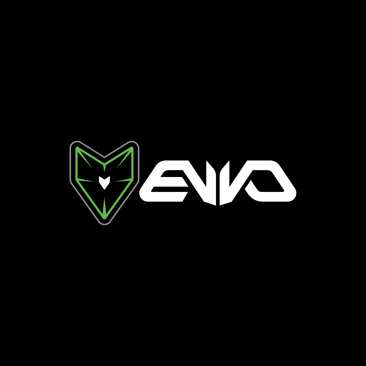 Evo, Identity, Bink Designs